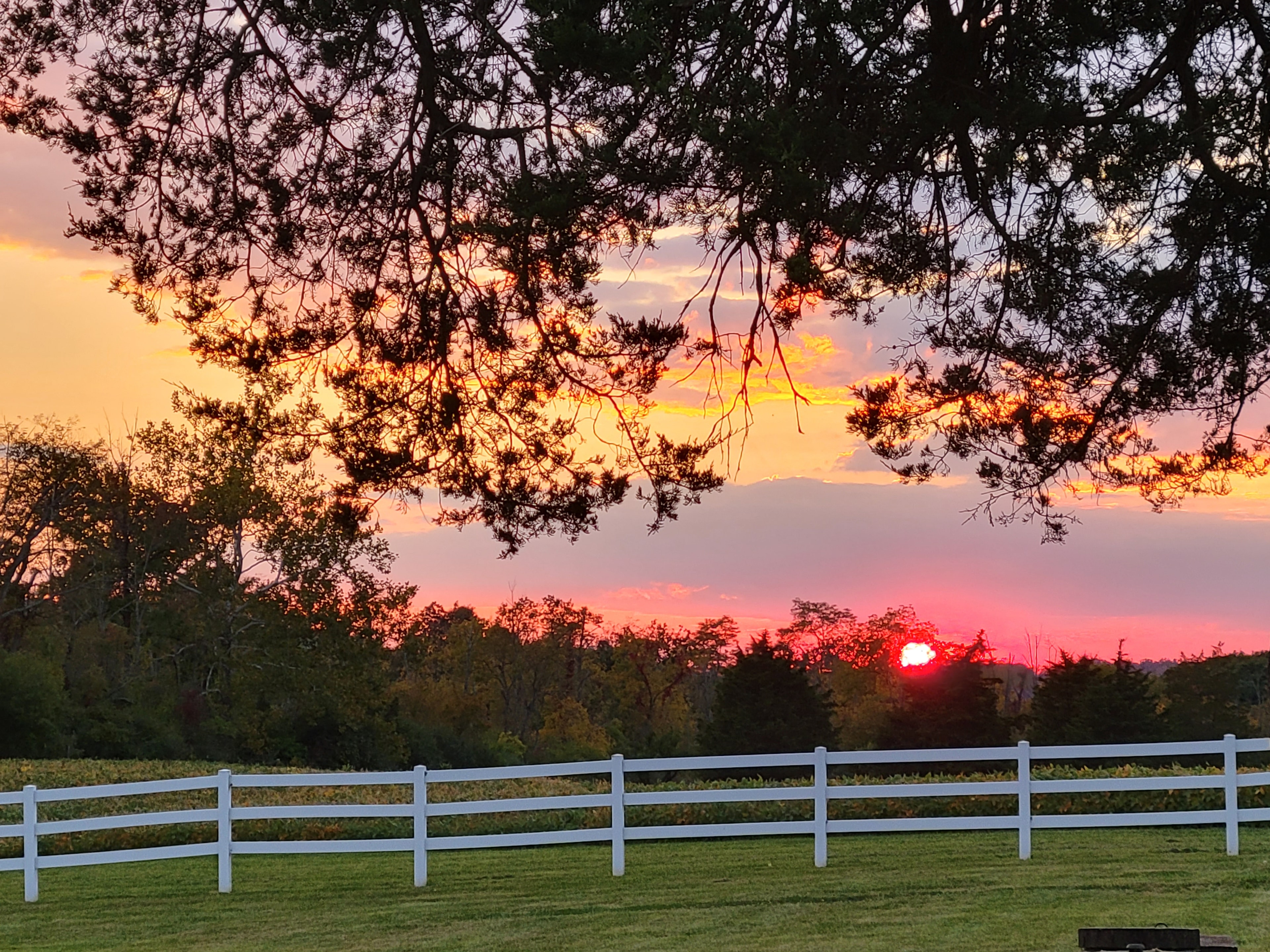 Sunset over Trinity Farms