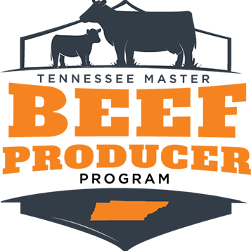 Tennessee Master Beef Producer Program